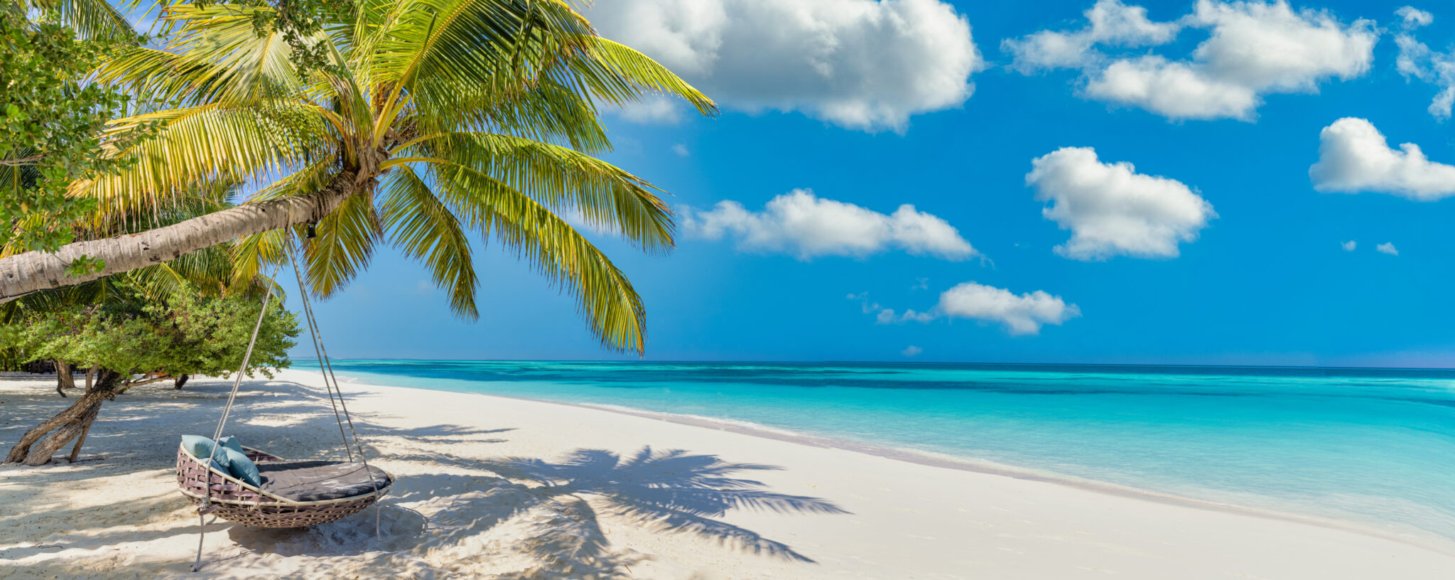 picture of a caribbean beach with a palm tree and a chair on the left