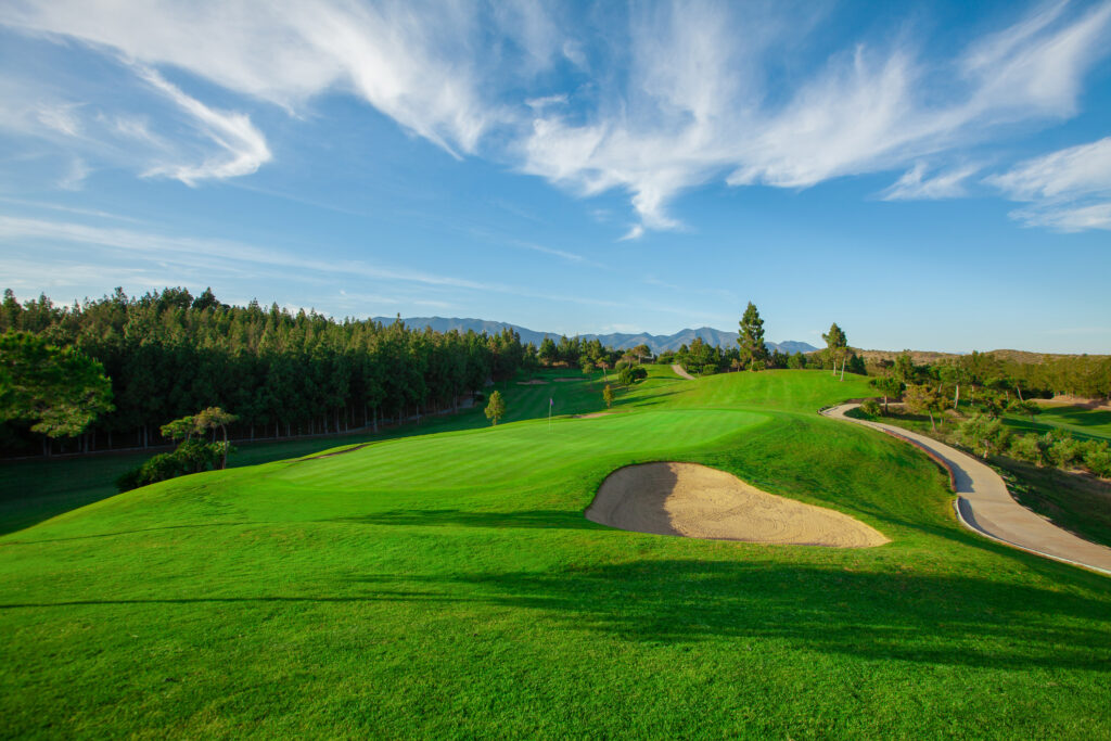 Hole with bunkers and trees