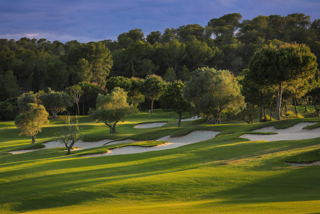 Bunkers and trees on fairway