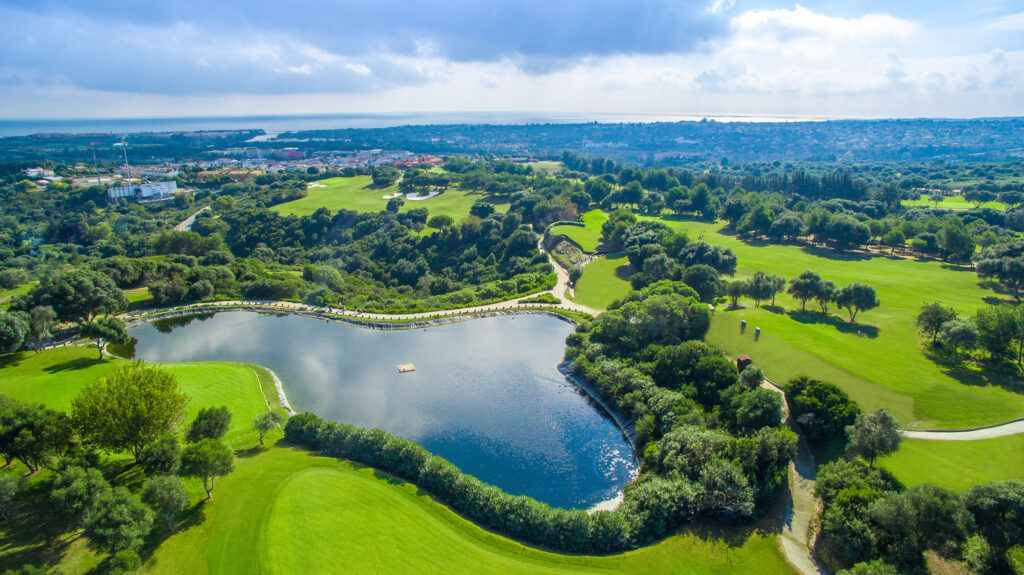 Aerial of lake with trees