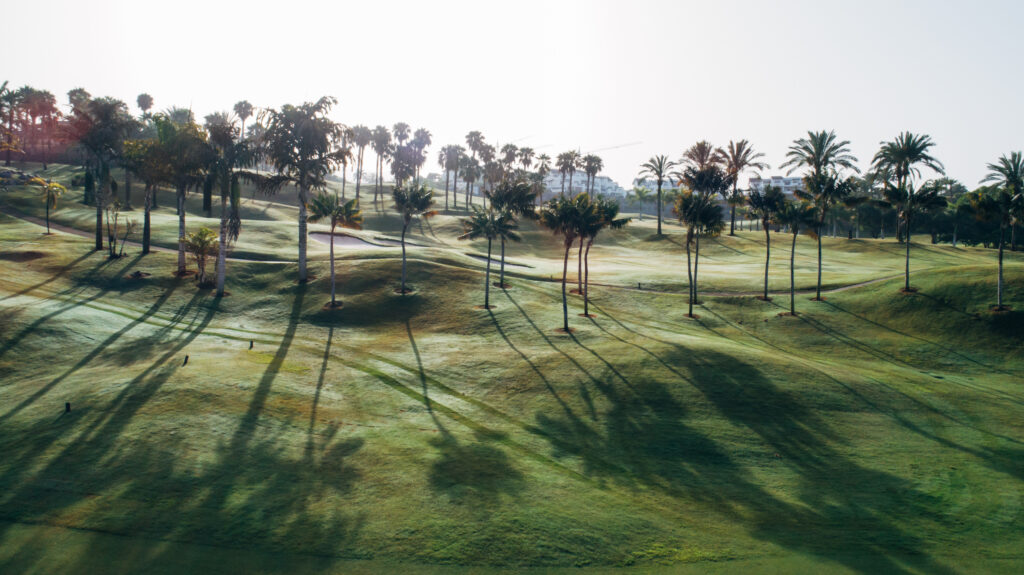 Fairway at Abama Golf Course with trees around