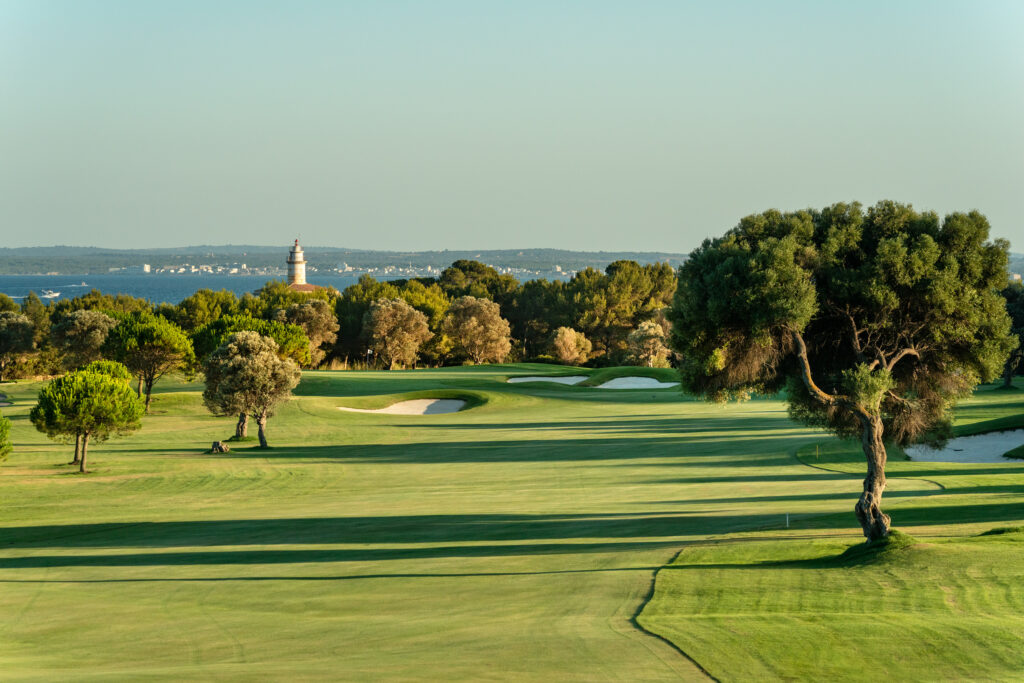 Fairway with bunkers and trees around at Alcanada Golf Club