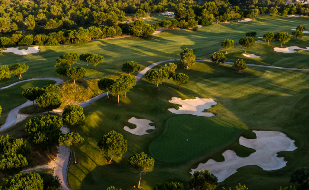 Aerial view of Alenda Golf Club