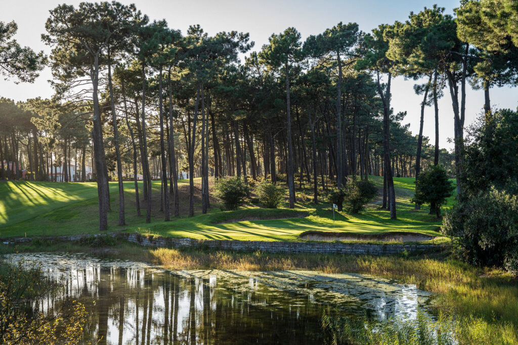 A lake with trees and a hole in the background