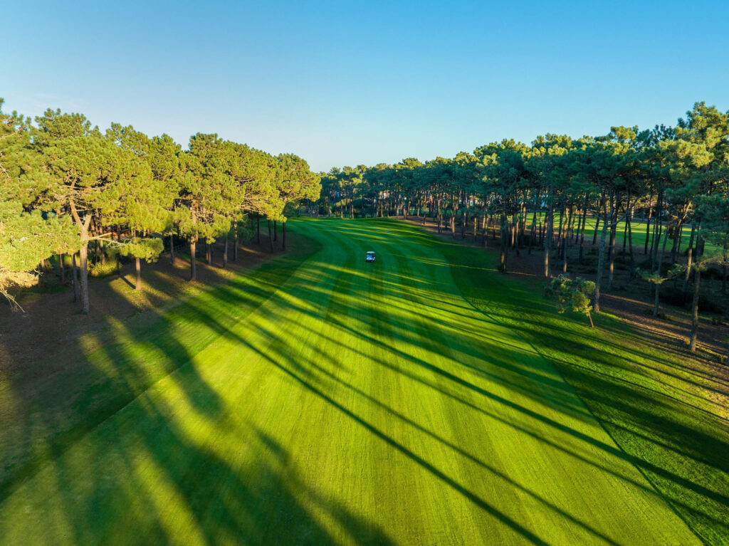 Fairway with trees around and a buggy at Aroeira Pines Classic Golf Course