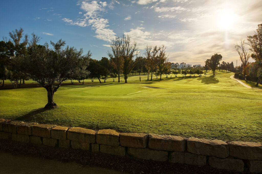 Fairway with trees around at Atalaya - New Golf Course