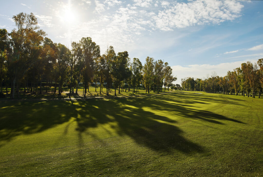 Fairway with trees around at Atalaya - New Golf Course