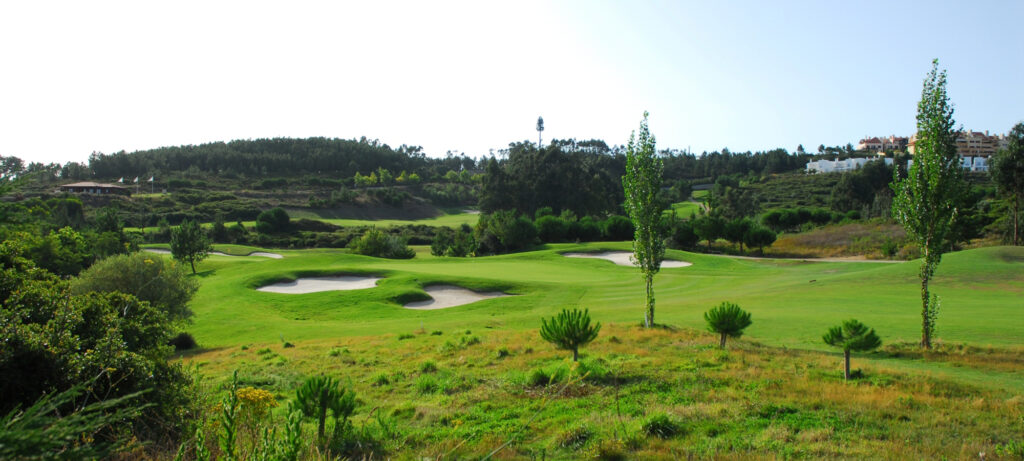 Bunkers on fairway surrounded by trees