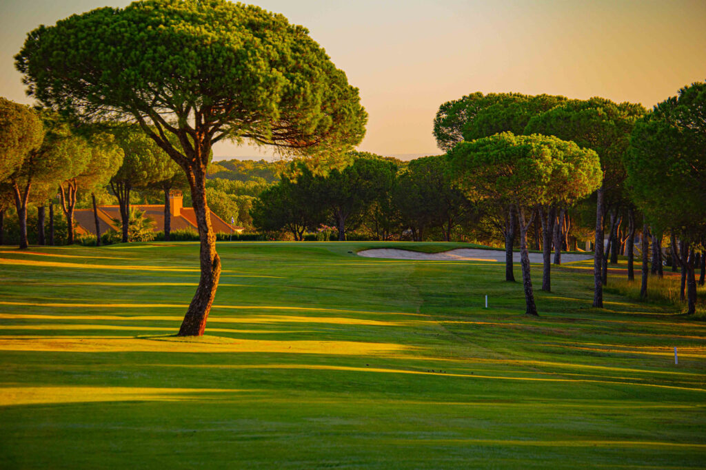 Fairway with trees around at Bellavista Golf Course