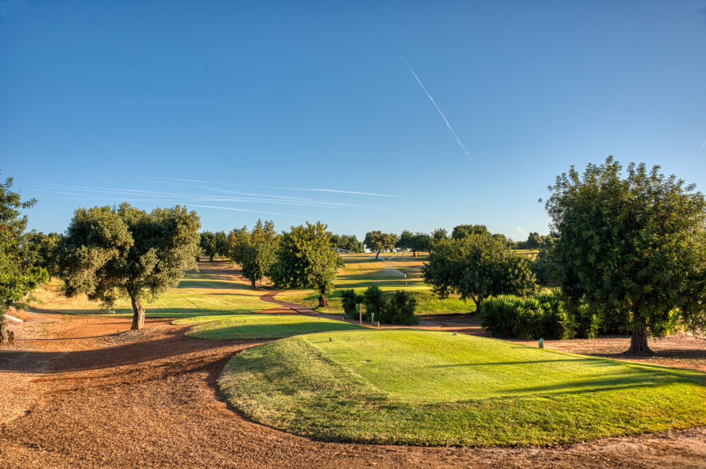 Tee box overlooking the fairway with trees around at Benamor golf course