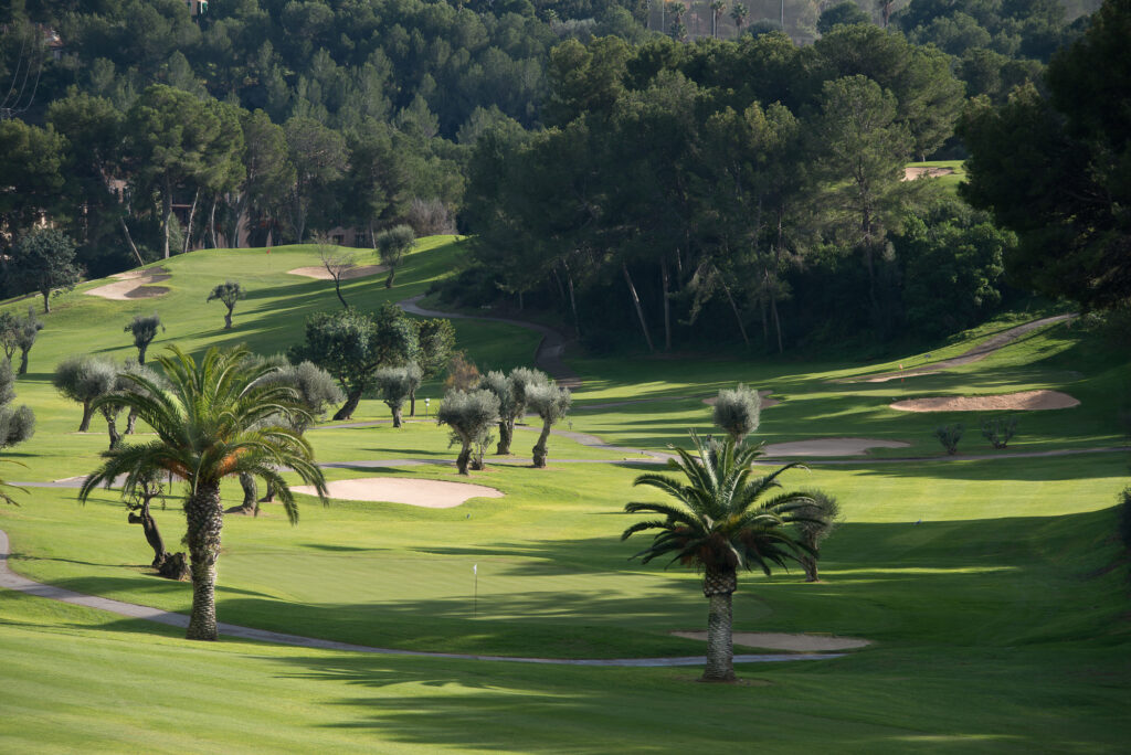 Fairway at Bendinat Golf Course