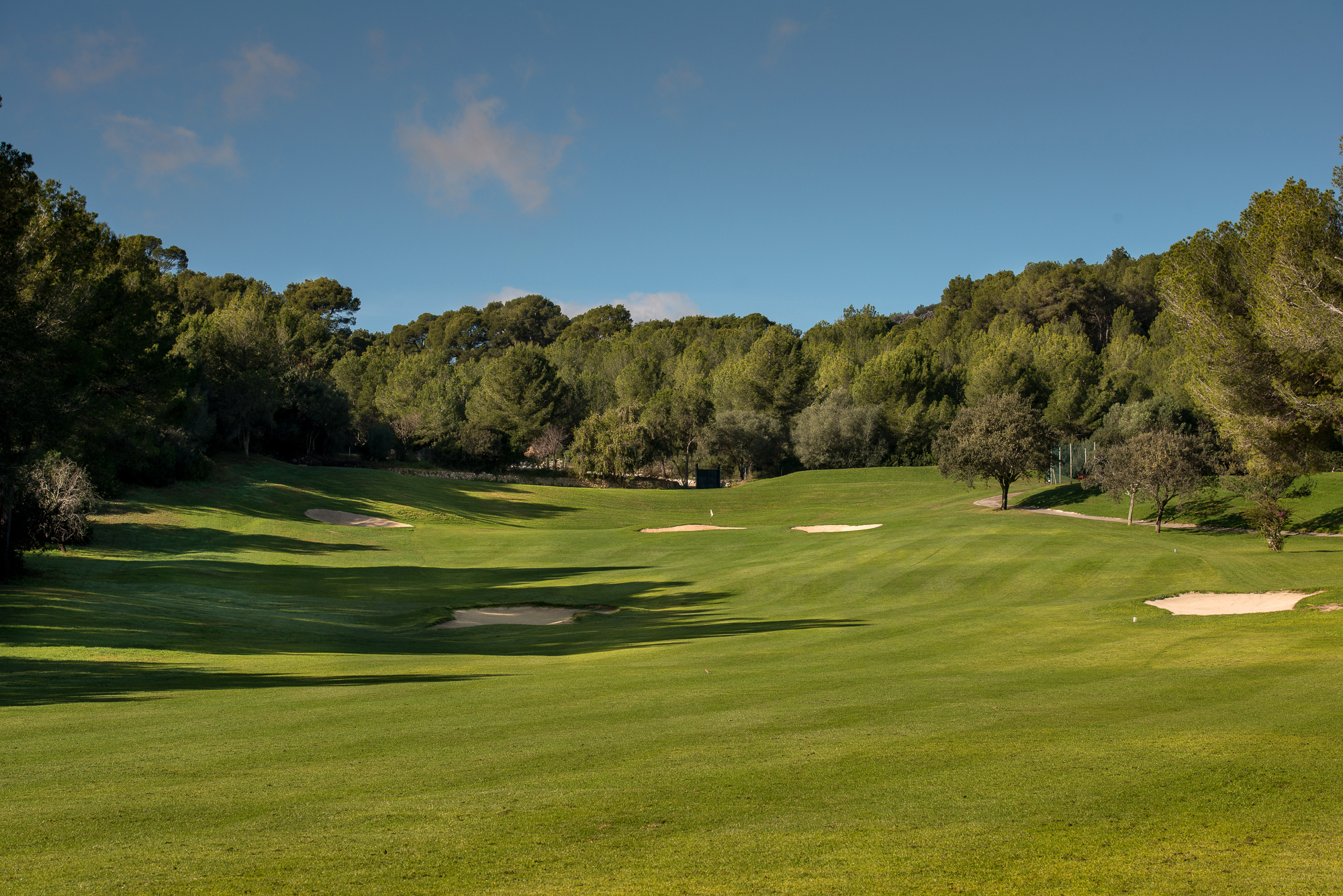 Fairway with bunkers and trees around at Bendinat Golf Course