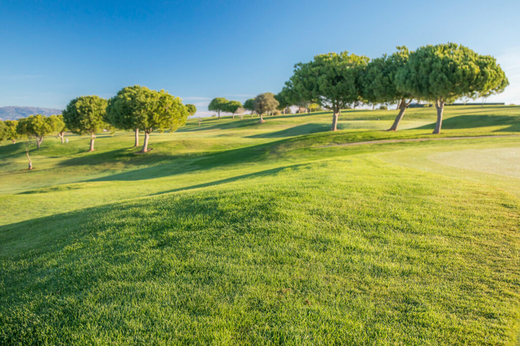 Fairway at Boavista Golf Course with trees