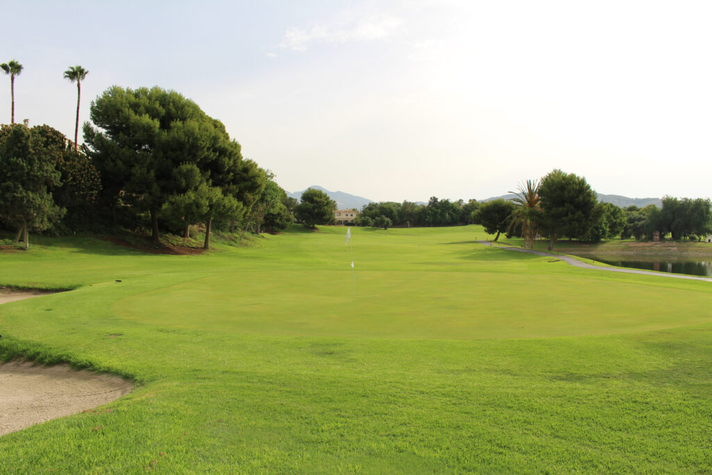 Hole at Bonalba Golf Resort with trees around