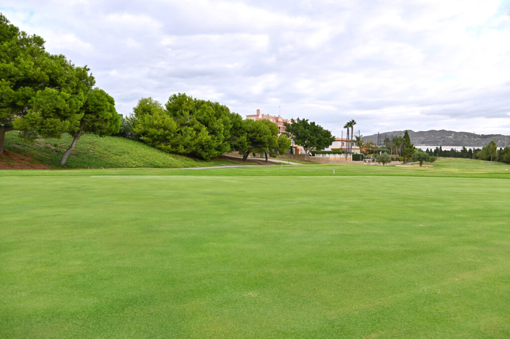 Fairway at Bonalba Golf Course with trees around