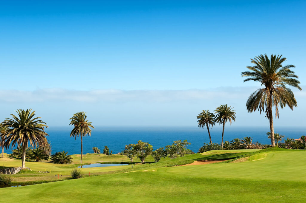 Fairway with palm trees and ocean view at Buenavista Golf Course