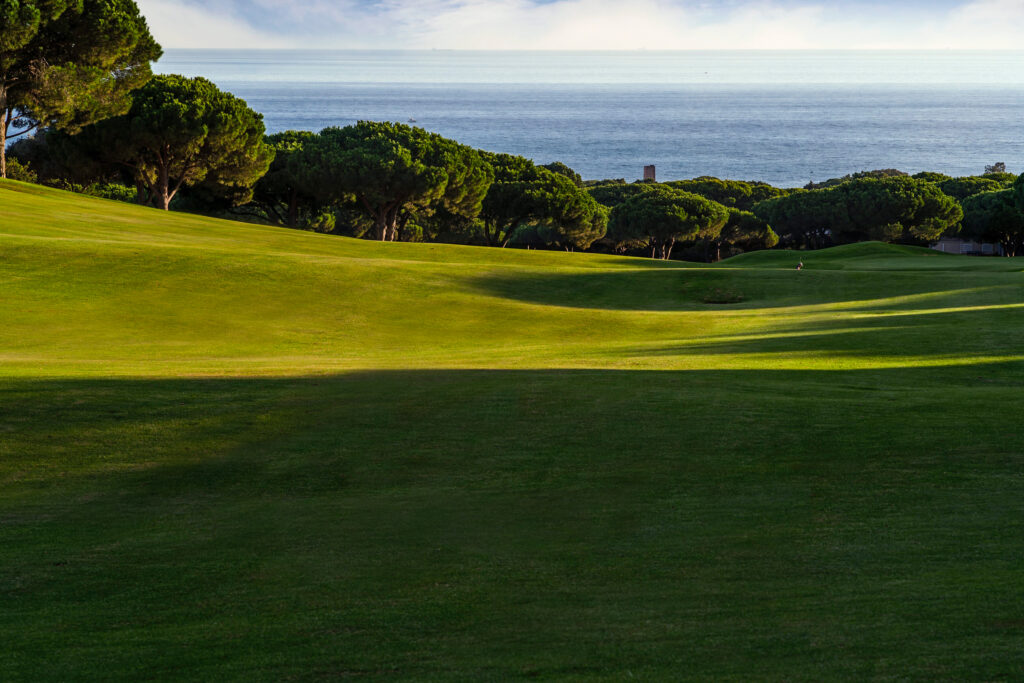 Fairway at Cabopino Golf Course with trees around