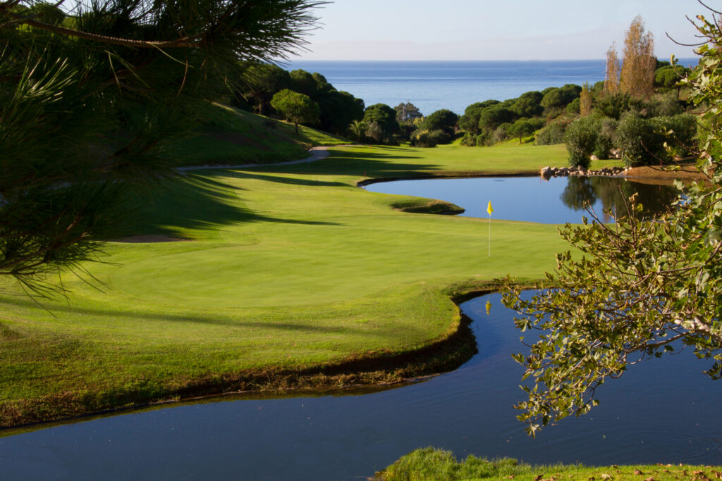 Hole with yellow flag and water hazards around at Cabopino Golf Course