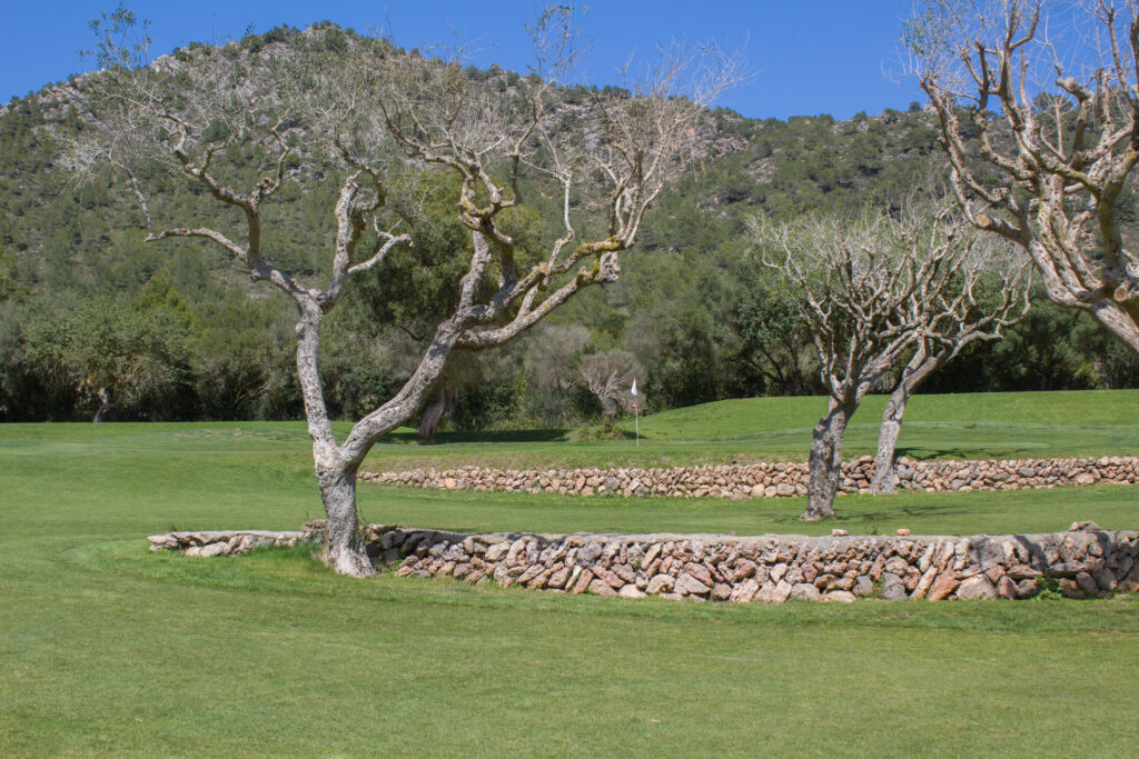 Fairway at Canyamel Golf Course with trees around