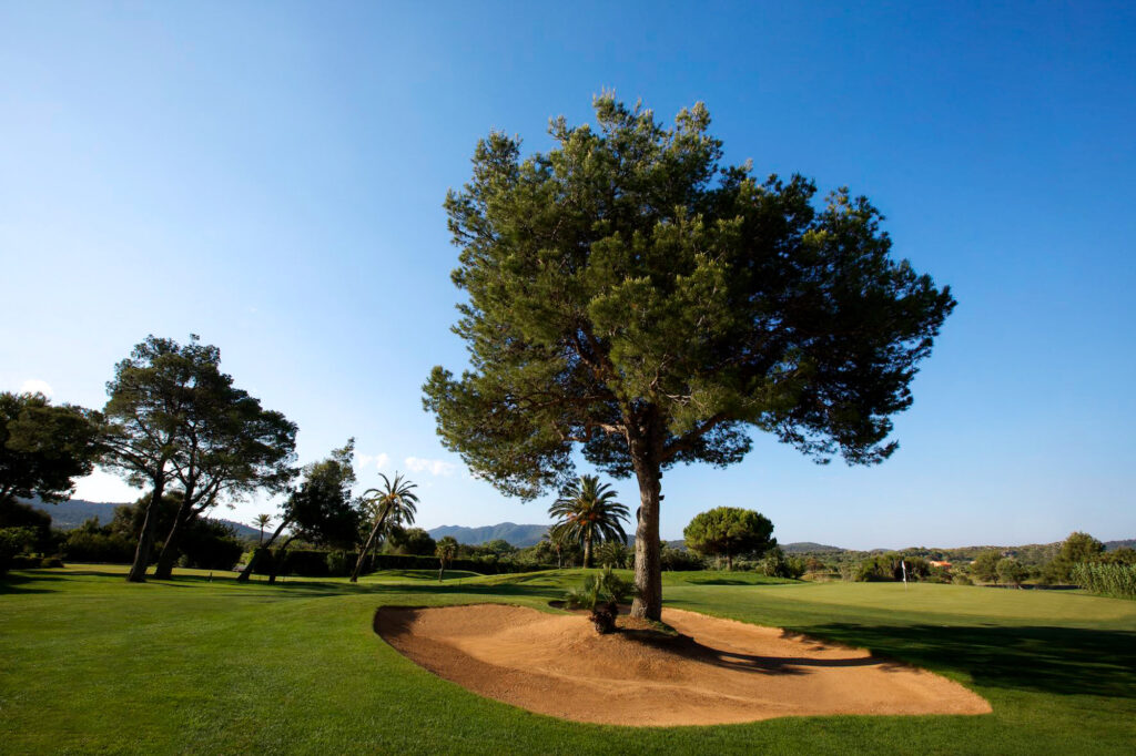 Bunker with a tree on the fairway at Capdepera Golf Course