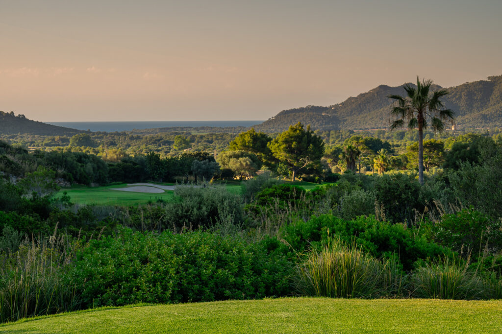 View of the fairway with trees in the foreground at Capdepera Golf Course