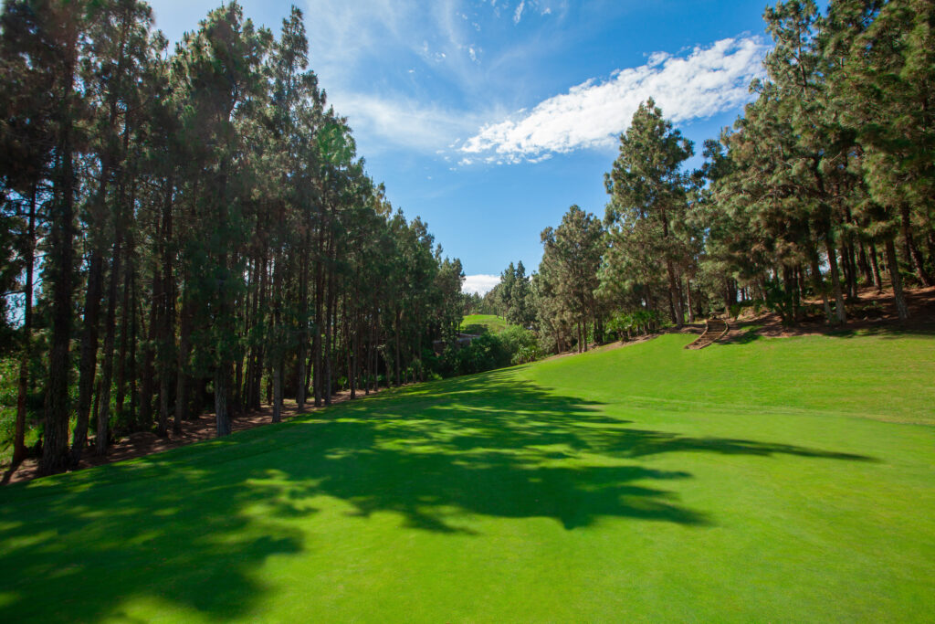 Fairway with trees around at Chaparral Golf Club