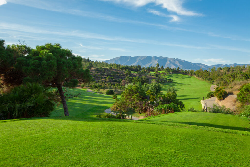 The fairway with trees on it at Chaparral Golf Club