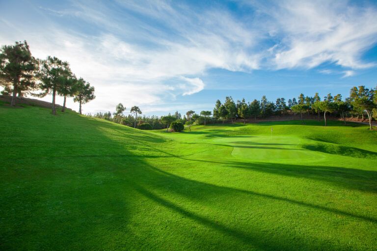 Fairway with trees around at Chaparral Golf Club