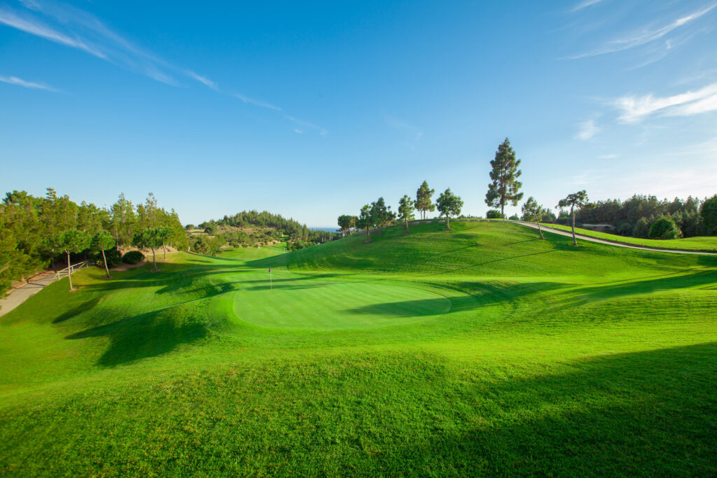 Fairway with hole and trees around at Chaparral Golf Club