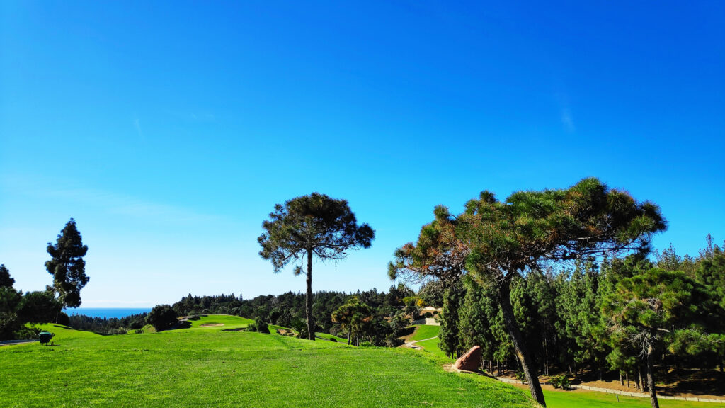 Trees on fairway at Chaparral Golf Club