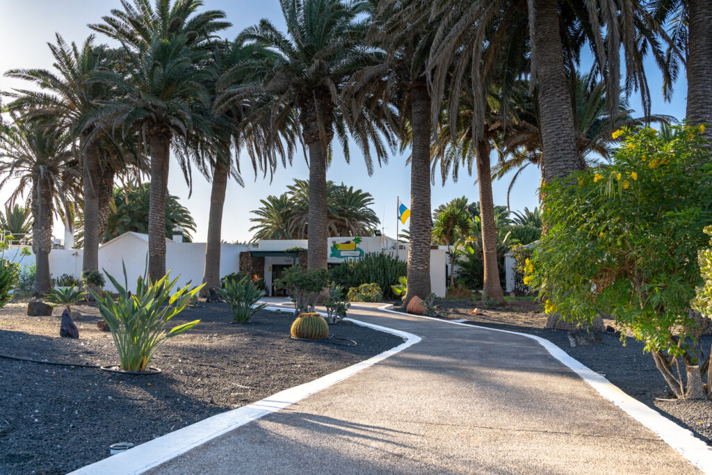 Path leading to building at Costa Teguise Golf