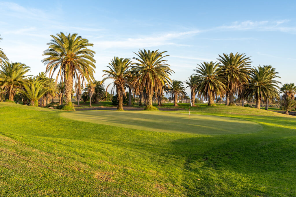 Hole with trees around at Costa Teguise Golf