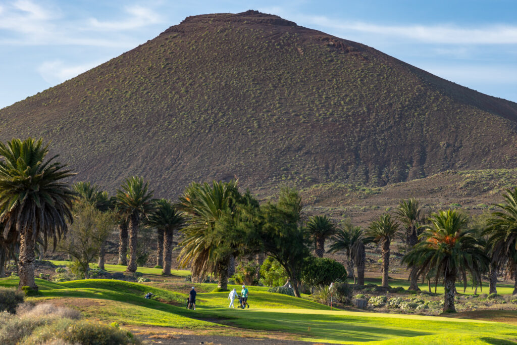 Trees on course with hill in background at Costa Teguise Golf