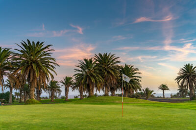 Hole with trees around at Costa Teguise Golf