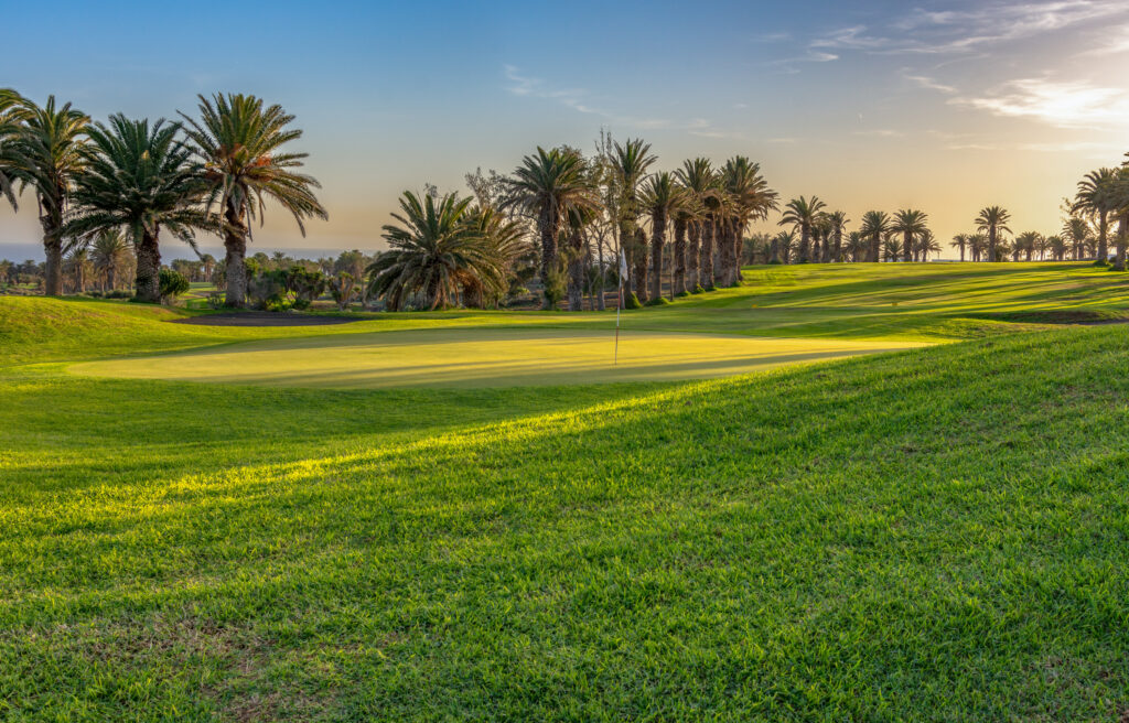 Hole with trees around at Costa Teguise Golf