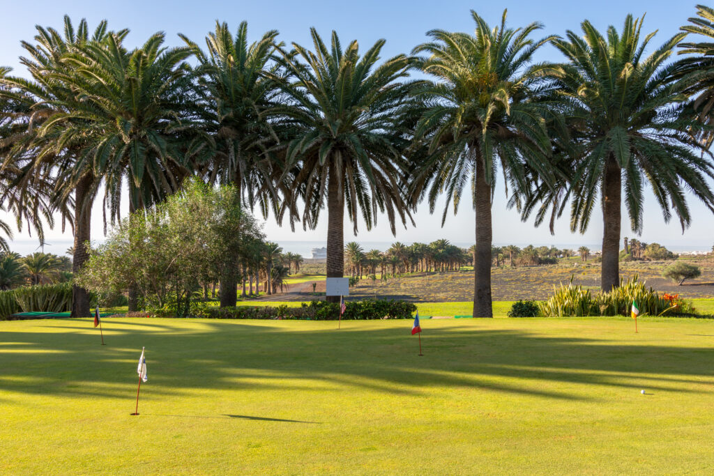 Practice facilities at Costa Teguise Golf with trees around