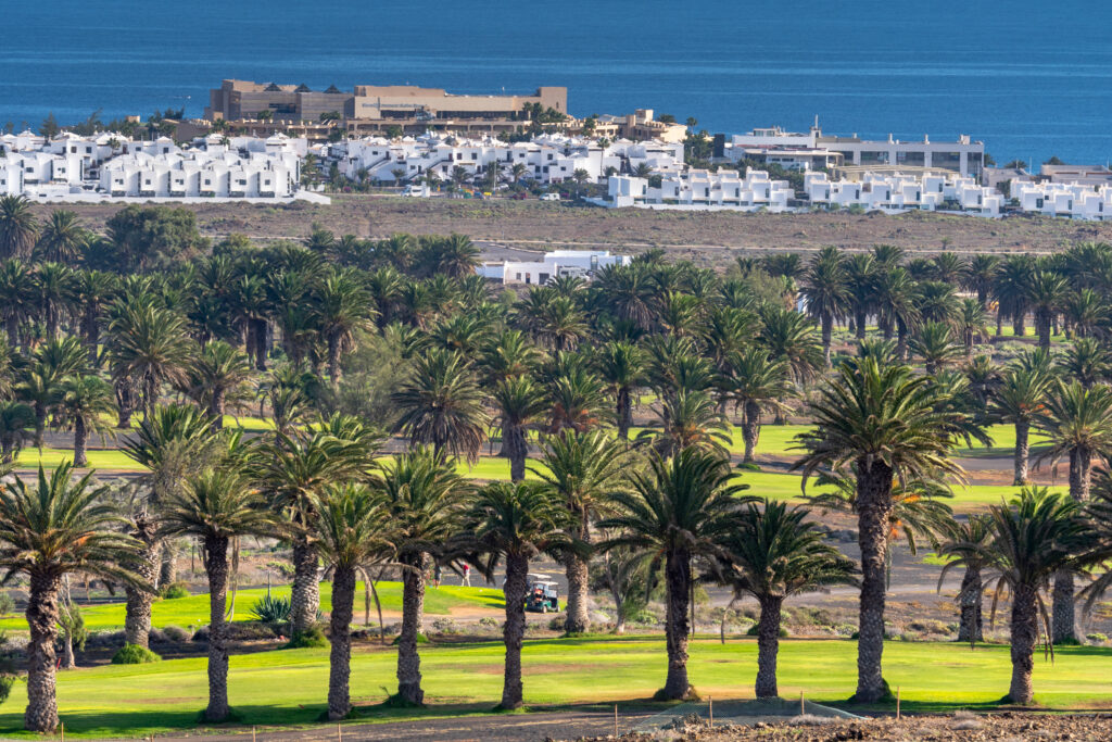 Trees on course at Costa Teguise Golf with buildings in background