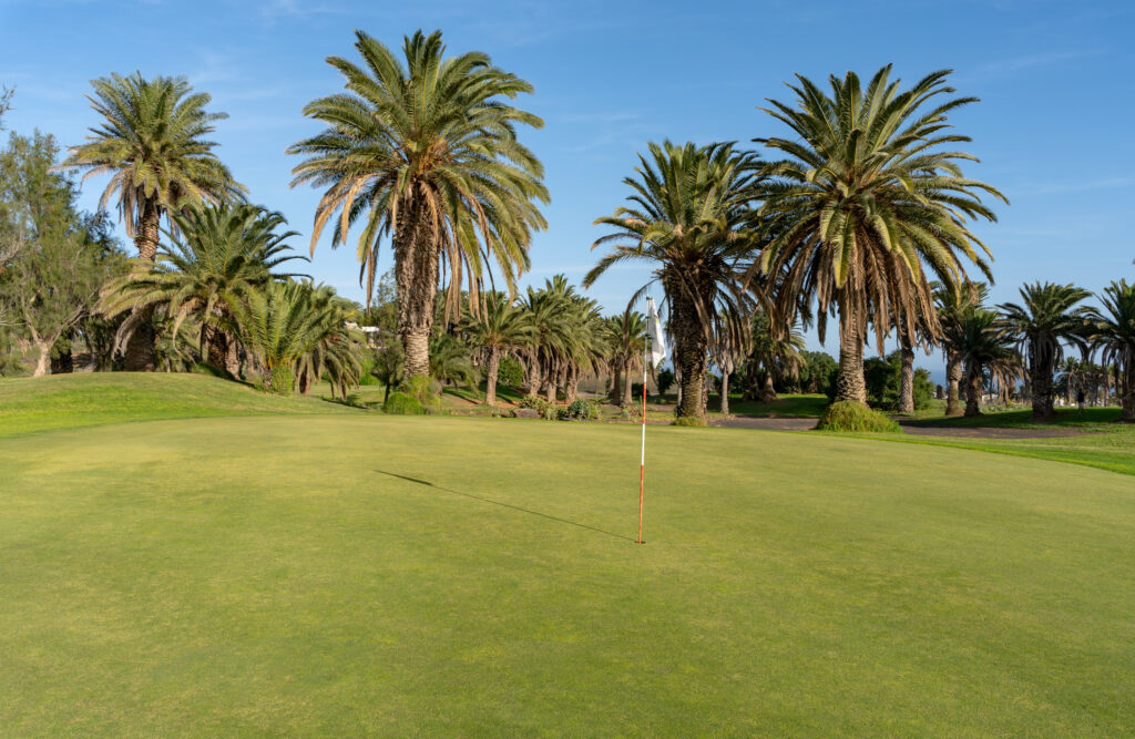 Hole with trees around at Costa Teguise Golf