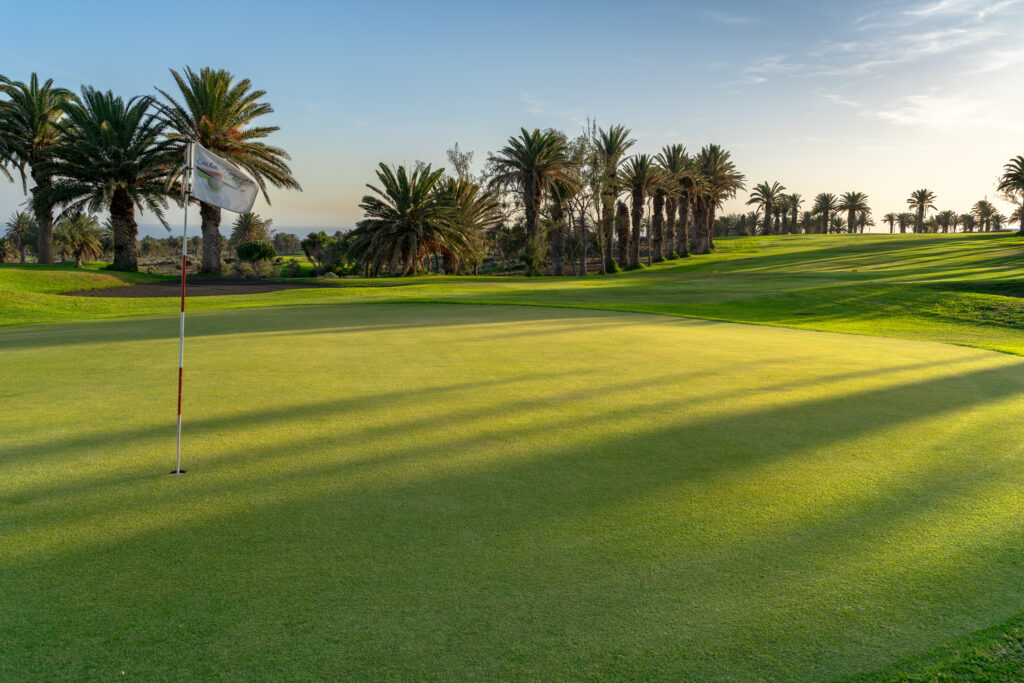 Hole with trees around at Costa Teguise Golf