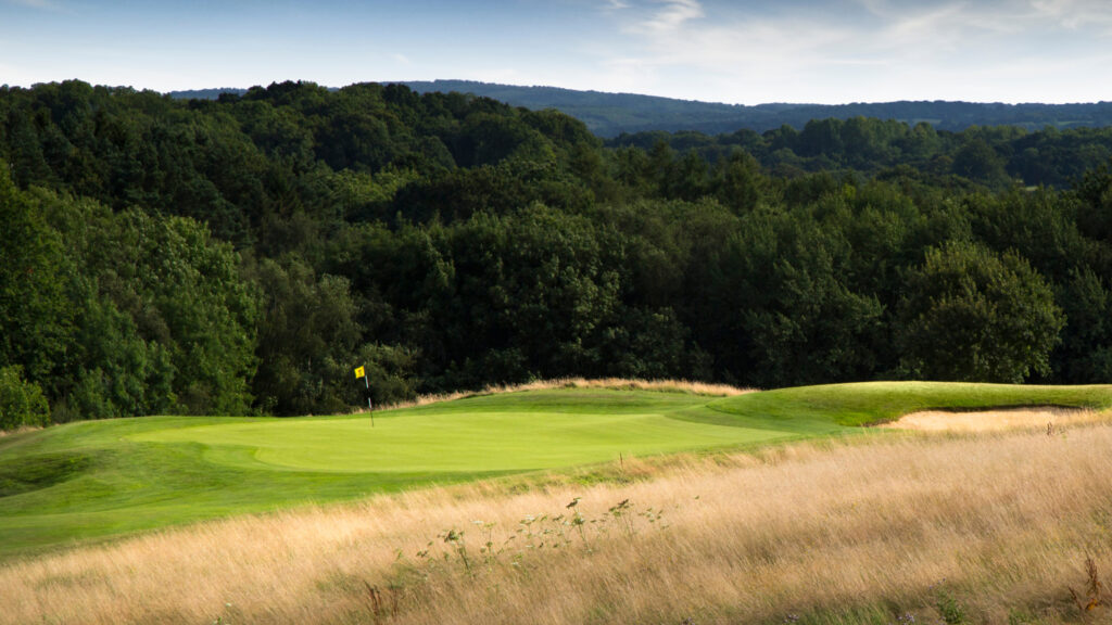 Hole with yellow flag at Dale Hill Hotel & Golf Club with trees in background