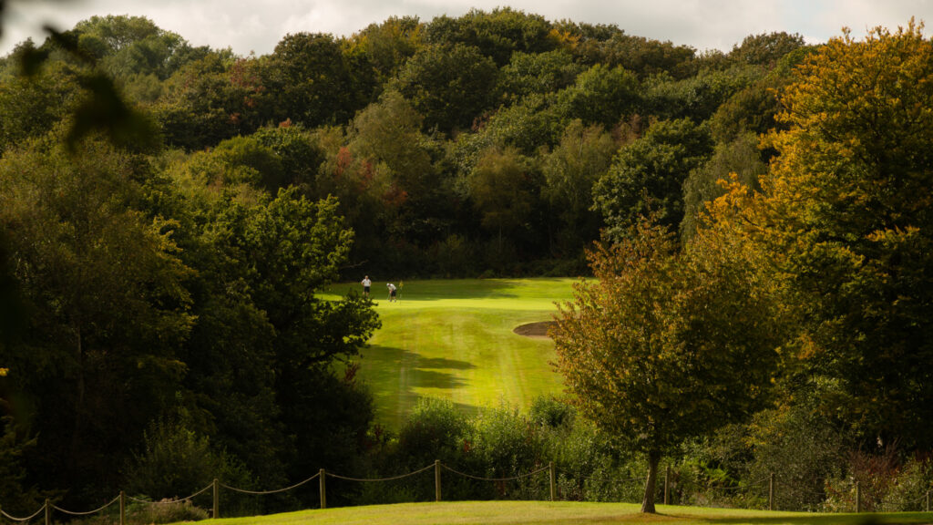 People playing golf at Dale Hill Hotel & Golf Club