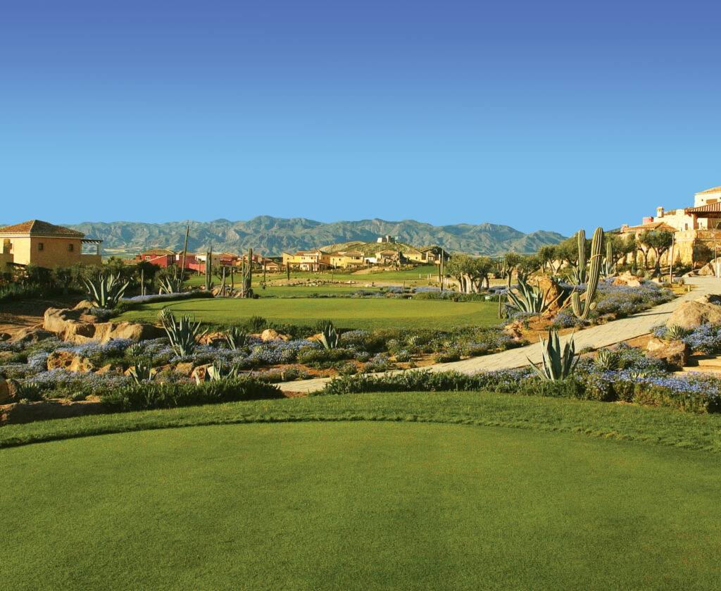 Greens on The Desert Springs Indiana Course with cacti and flowers around