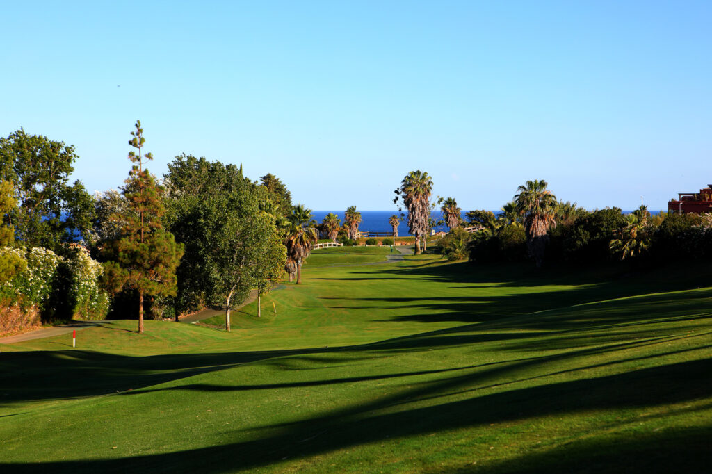 Fairway at Dona Julia Golf Course with trees around