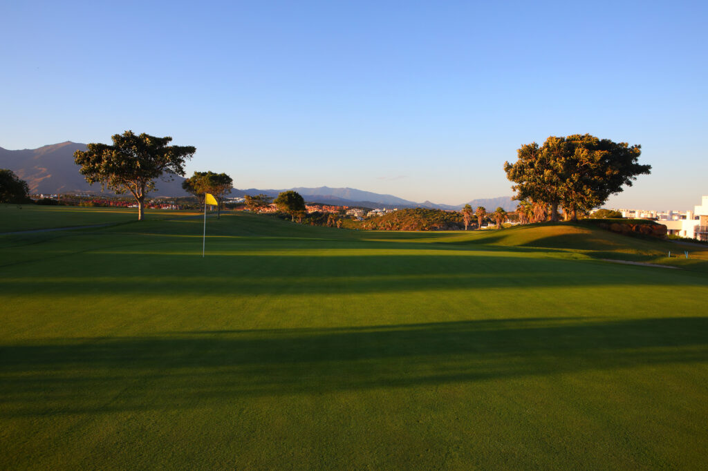 Hole with yellow flag at Dona Julia Golf Course