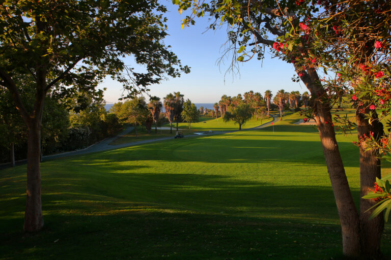 Fairway with trees around at Dona Julia Golf Course