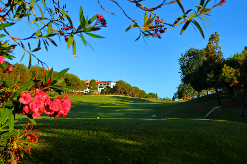 Fairway with golf balls on with flowers around at Dona Julia Golf Course