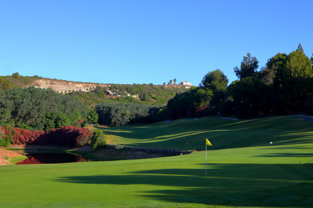 Hole with yellow flag with trees around at Dona Julia Golf Course