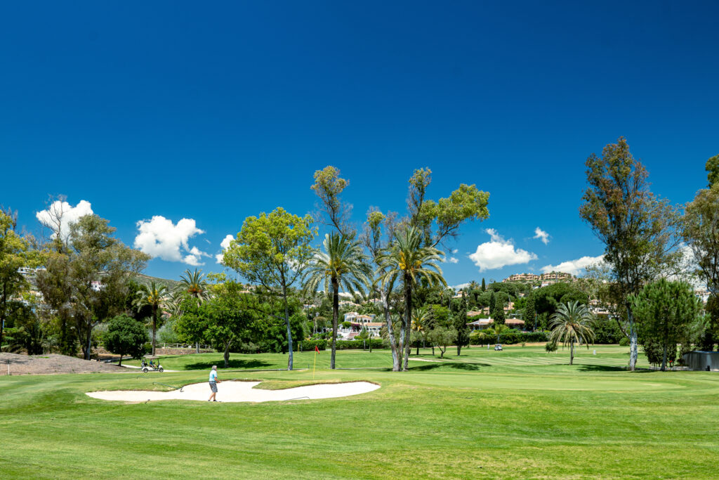 Person playing out of a bunker at El Paraiso Golf Course with trees around