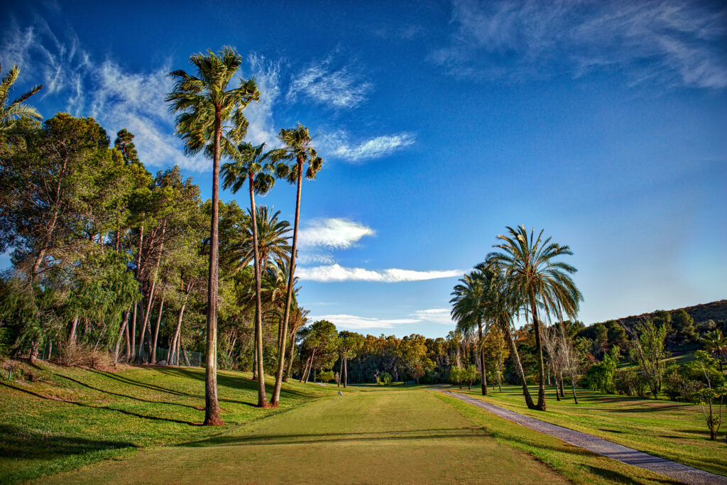 Tee box with trees around at El Paraiso Golf Course