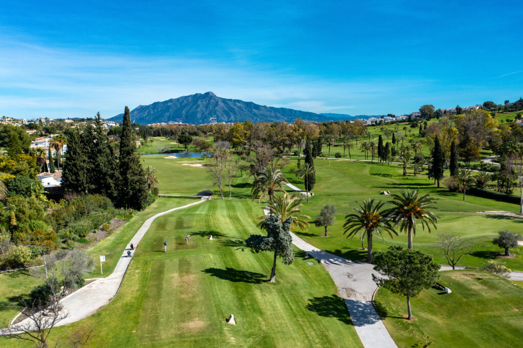 Aerial view of the fairway at El Paraiso Golf Course with trees around